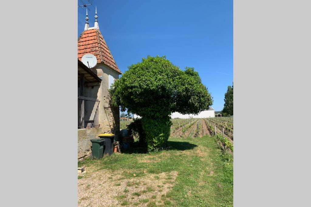 Chateau Roseyrol Proche Saint-Emilion Exterior foto