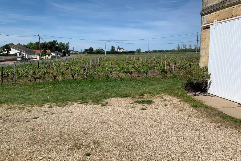 Chateau Roseyrol Proche Saint-Emilion Exterior foto